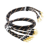 VINCENT BI-WIRE KABEL - Vysoce kvalitní Bi-Wire reproduktorový kabel VINCENT BI-WIRE KABEL - Vysoce kvalitní Bi-Wire reproduktorový kabel