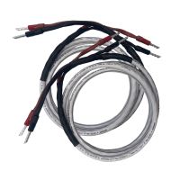 Acoustique Quality 646-SG MKII - reproduktorová sada kabelů, jednoduché zapojení (2)